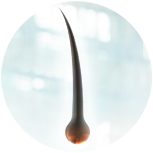 hair_03