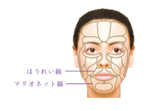 しわ2